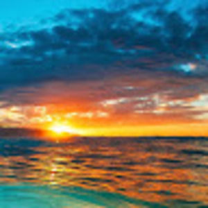 Meet your Posher, Trevor